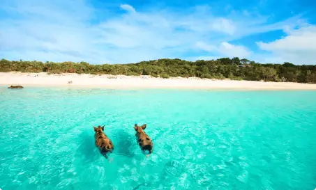 Nassau to Nassau 10-Day Itinerary